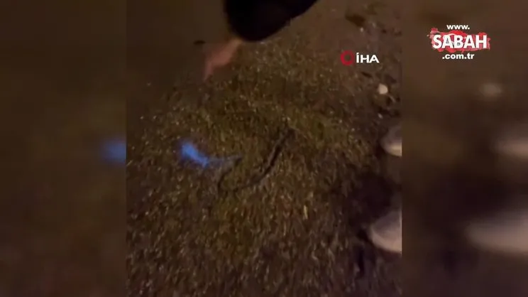 Marmara Denizi maviye boyandı, görenler şaşkına döndü | Video