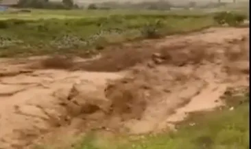Kırıkkale’de sağanak yağış ve fırtına tarım arazilerine zarar verdi