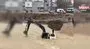 Sel sularında can pazarı! Mahsur kalan kepçe operatörü böyle kurtarıldı | Video