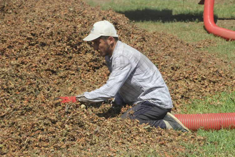 Bu işi yapan saatte 3 bin 500 TL kazanıyor: Yılda sadece 1,5 ay çalışıyorlar!