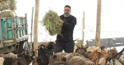 Şehir hayatından sıkıldı, köyünde hayvancılığa başladı #elazig