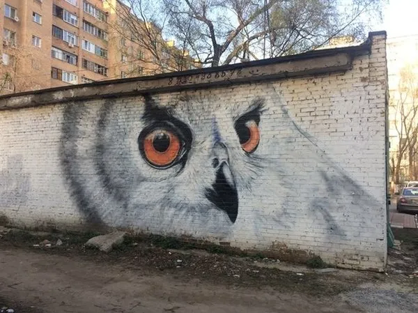 Dünyadan ilginç kareler!