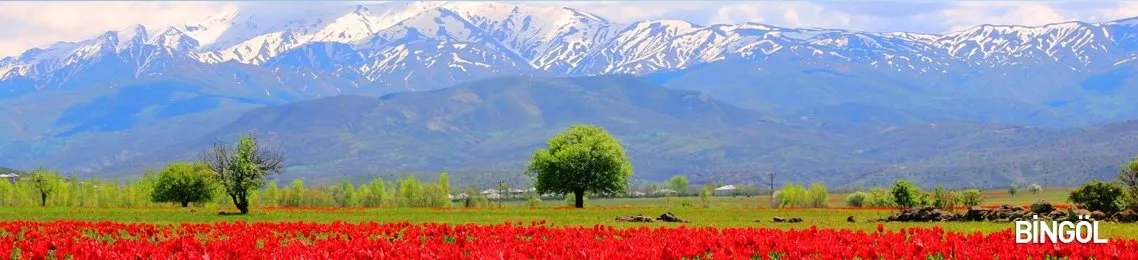 Bingol Haber Son Dakika Bingol Haberleri Guncel Haberler