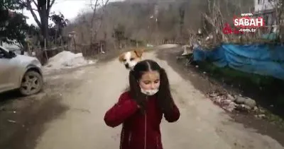 Türkiye Ordu’da hastalanan köpeğini sırtında taşıyarak veterinere götüren Cemre Su Türköz’ün görüntülerini konuşuyor | Video