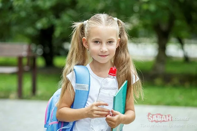 E okul kayıt Çocuğum hangi okula gidecek? 2019 İlk okul ve