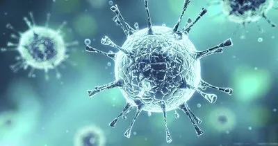 Aşılara dirençli yeni koronavirüs Rusya’da keşfedildi: Khosta-2 nedir, nasıl bulaşır? Khosta-2 yeni bir pandemi yaratır mı?