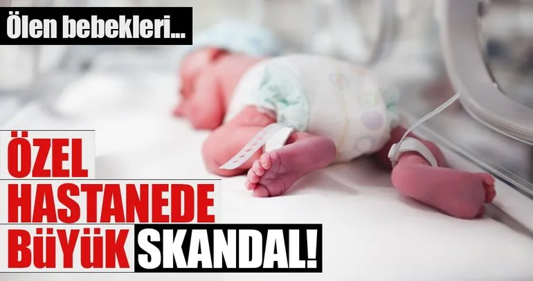 Skandali Ortbas Edecekti Daha Da Beteri Oldu En Son Haber