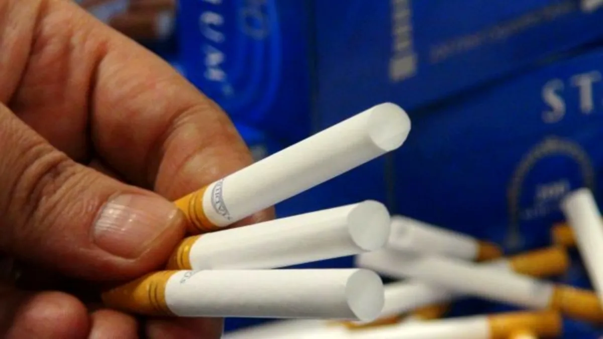 Sigara kağıdı üretimi ve satışı için sıkı düzenleme Sigara kağıdı üretimi ve satışı için sıkı düzenleme