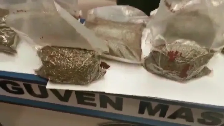 4 kilo Bonzai ile yakalandı!