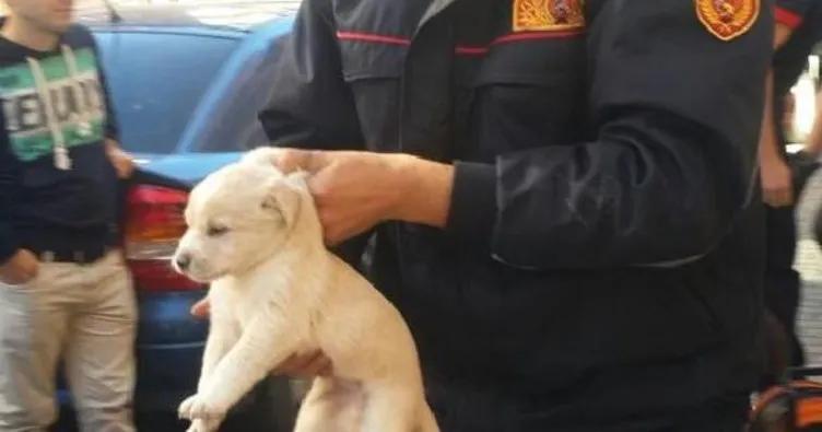 Kuyuya düşen yavru köpeği itfaiye kurtardı