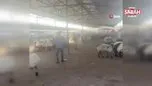 Siverek hayvan pazarında silahlı kavga kamerada: 1 ölü, 5 yaralı | Video