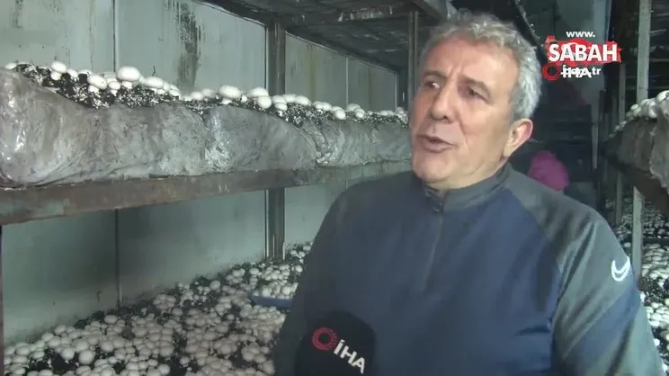 Yeşil sahalarda umduğunu bulamayınca dev mantar tesisi kurdu | Video