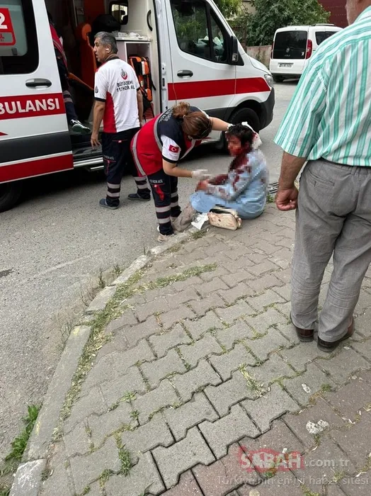 SON DAKİKA HABERİ | Ataşehir’de köpek dehşeti! Vatandaşlar tedirgin: Kadını parçaladıysa yarın beni de parçalarlar