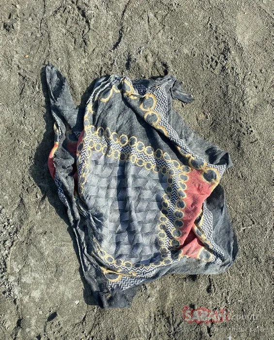 SON DAKİKA! Kayıp Rojin Kabaiş bulundu mu? Rojin’den yeni iz... Kadavra köpeği o bölgede tepki verdi