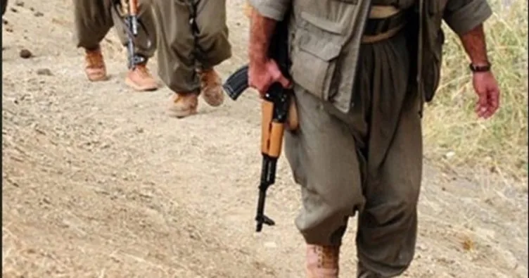 Siirt’te bir PKK’lı terörist etkisiz hale getirildi