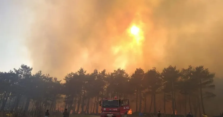 SON DAKİKA: Çanakkale Kazdağları’nda yangın