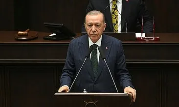 Başkan Erdoğan başıboş köpek sorununun nasıl çözüleceğini anlattı: Bakımevleri, sahiplendirme, kısırlaştırma, çip ve sıkı takip…