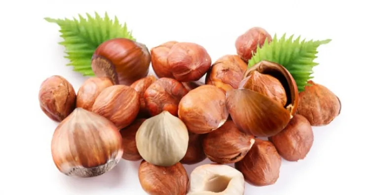 Çiğ fındığın faydaları nelerdir?