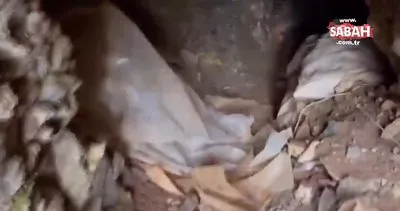 Komandolarımız teröristlere ait sığınak, barınak ve mağaralara teker teker girerek teröristlerin izini sürüyor | Video