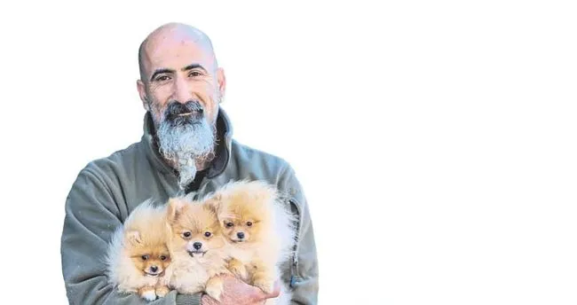 Hayvan Severlere Kopek Pansiyonu Akdeniz Haberleri