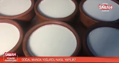 Doğal manda yoğurdu nasıl yapılır?