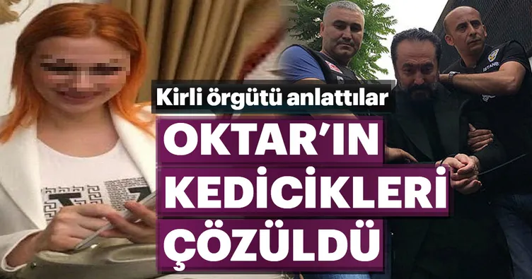 İtirafçı kedicikler