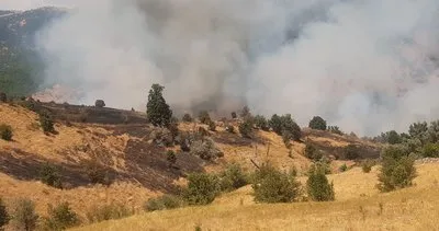 Tunceli’de çıkan yangın büyük ölçüde söndürüldü #tunceli