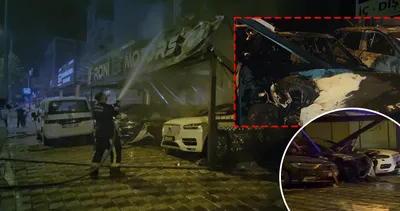 Antalya’da sokağın hakkı bahanesiyle galeriyi ateşe vermişlerdi: Robin Dalton çetesine film gibi operasyon!