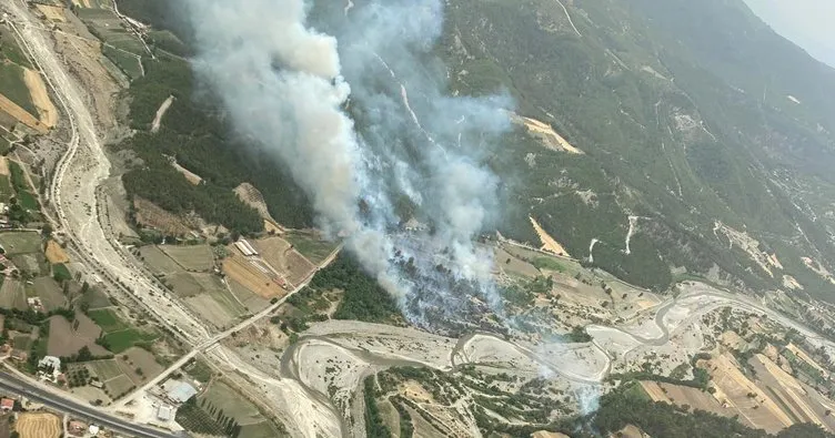 Muğla’da orman yangını