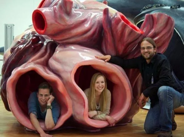 Yanlış bilinen doğrular: Bu hataya düşmeyin!