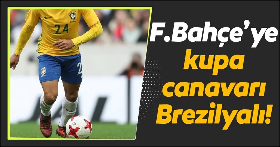 Fenerbahce Ye Kupa Canavari Brezilyali Spor Haberleri