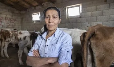 5 inekle başladı, sürü sahibi oldu: Hüsniye Bulut tüm ailenin geçimini sağlıyor