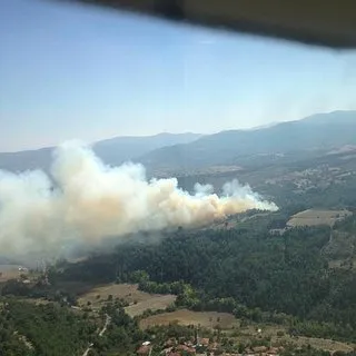 Balıkesir'de orman yangını
