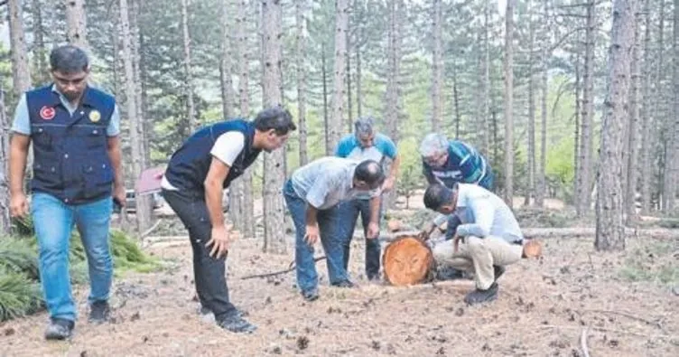 Tarsus’ta ormancılık faaliyetleri incelendi