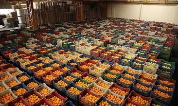 Türkiye’nin yaş meyve sebze ihracatı 3 milyar dolara yaklaştı
