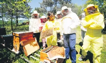 Çöl tozu arıları da vurdu