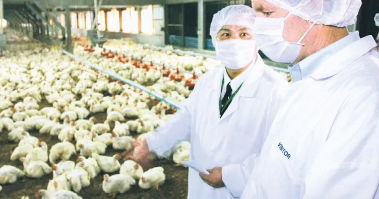 ABD’de 1 kişide kuş gribi tespit edildi