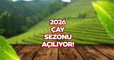 Yaş çay alım fiyatı açıklandı mı, ne kadar? 2026 Çay sezonu açılıyor!