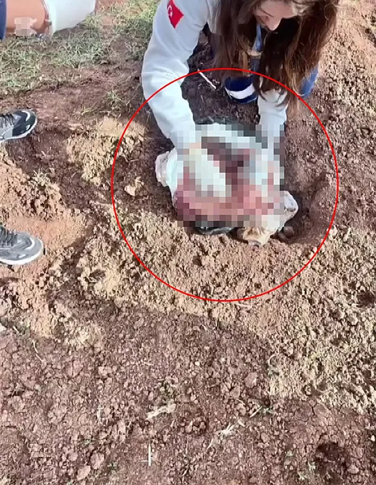 Poşette yeni doğmuş kız bebek cesedi bulunmuştu: Cani anne iple boğup, araziye atmış!