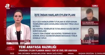 İşte Cumhurbaşkanı Erdoğan’ın açıkladığı İnsan Hakları Eylem Planı’nın detayları... | Video