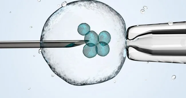 tup bebek nedir tedavi kimlere uygulanir tup bebek transferi sonrasi tutunma belirtileri nelerdir saglik haberleri