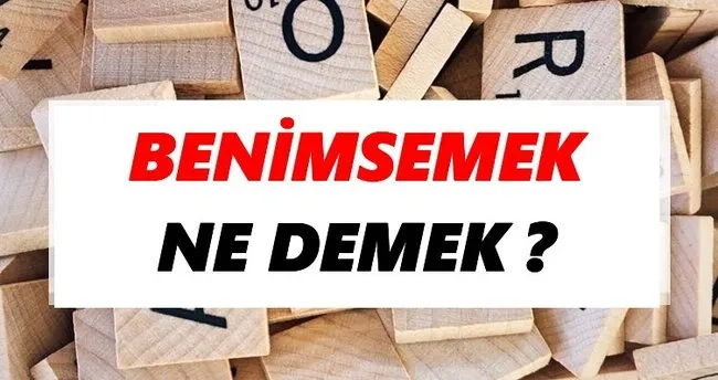 Benimsemek Ne Demek? TDK’ya Göre Benimsemek Sözlük Anlamı Nedir?