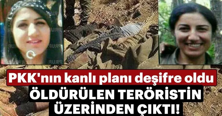 PKK'nın kanlı planı deşifre oldu! Öldürülen kadın teröristlerin üzerinde keşif fotoğrafları çıktı