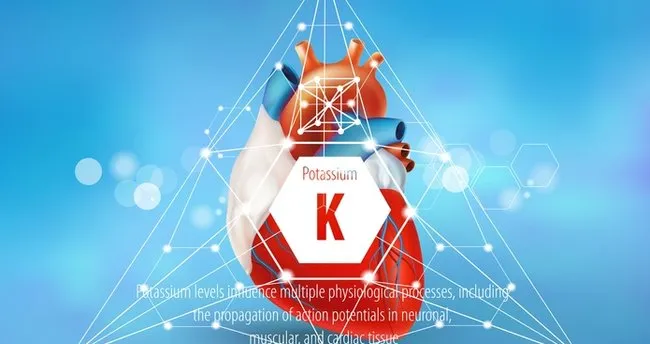 k hangi element ozellikleri nelerdir k simgesi hangi elementin semboludur son dakika egitim haberleri