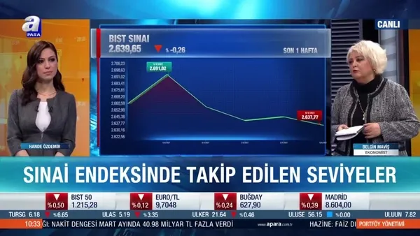 Ekonomist Belgin Maviş: Güçlü duran bir sanayi endeksi var