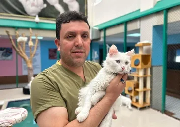 Ömrünü Van kedilerine adadı!