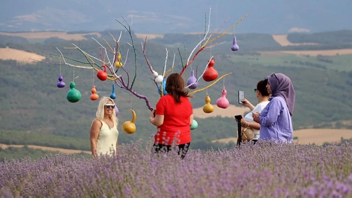 Lavanta festivalinde renk cümbüşü