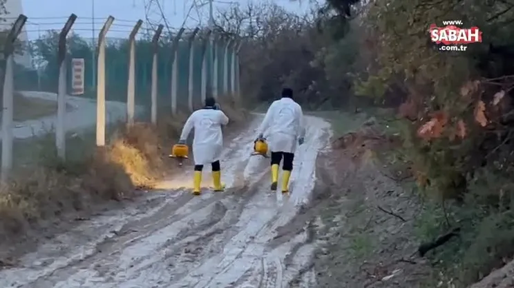 Son dakika: Bursa'da tek motorlu uçak düştü: 2 kişi hayatını kaybetti | Video