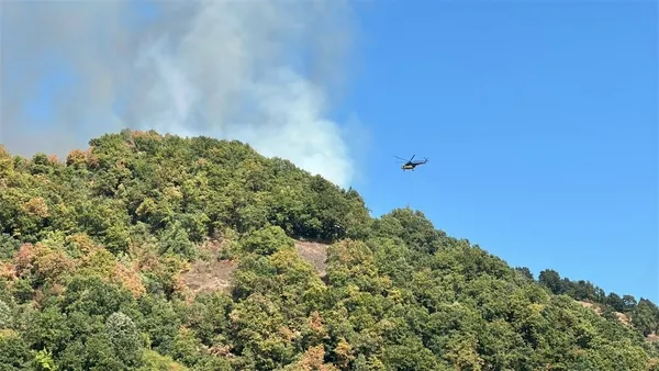 orman-yangina-havadan-ve-karadan-mudahale-suruyor-1756985053059.jpg
