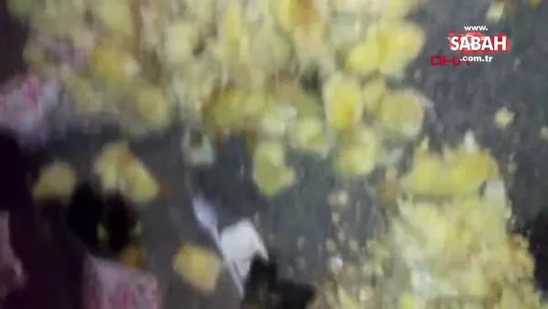 İstanbul Sultangazi'de çöp kutusunda yüzlerce ölü civciv bulundu